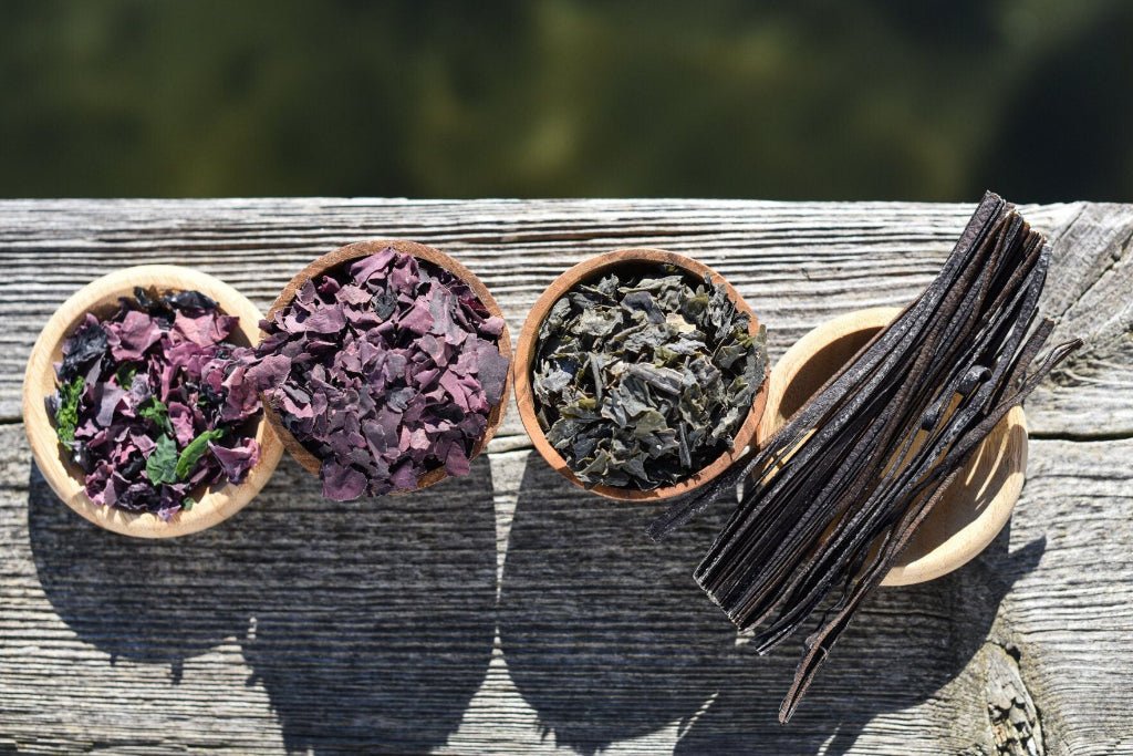 MEERESGARTEN "KOMBI - MIX" (VPE 4 Stk.) je 1 x Kraftpaket, Herzblut, Glücksgriff & Freigeist - BeautyVeda | Oceanwell "KOMBI - MIX" (VPE 4 Stk.) je 1 x Kraftpaket, Herzblut, Glücksgriff & Freigeist Nahrungsmittel, PROFESSIONAL, Vegan