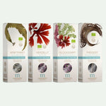 MEERESGARTEN "KOMBI - MIX" (VPE 4 Stk.) je 1 x Kraftpaket, Herzblut, Glücksgriff & Freigeist - BeautyVeda | Oceanwell "KOMBI - MIX" (VPE 4 Stk.) je 1 x Kraftpaket, Herzblut, Glücksgriff & Freigeist Nahrungsmittel, PROFESSIONAL, Vegan